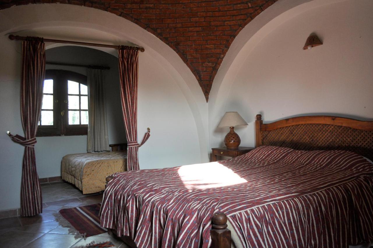 Dream Lodge Siwa シワ・オアシス エクステリア 写真
