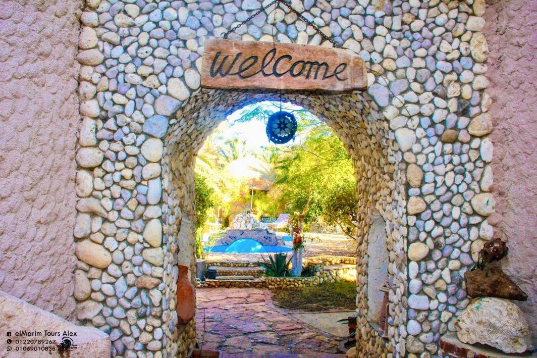 Dream Lodge Siwa シワ・オアシス エクステリア 写真