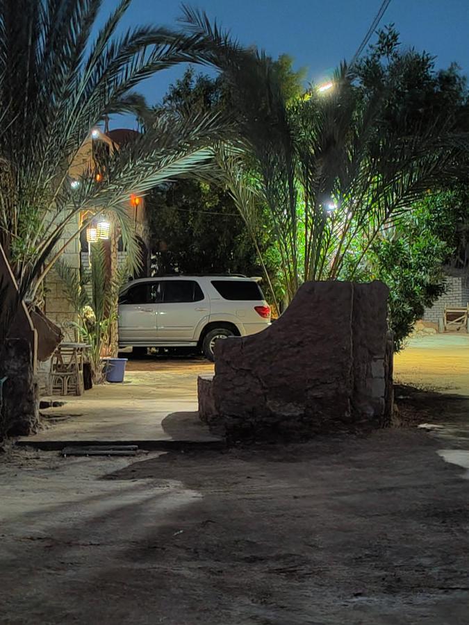 Dream Lodge Siwa シワ・オアシス エクステリア 写真