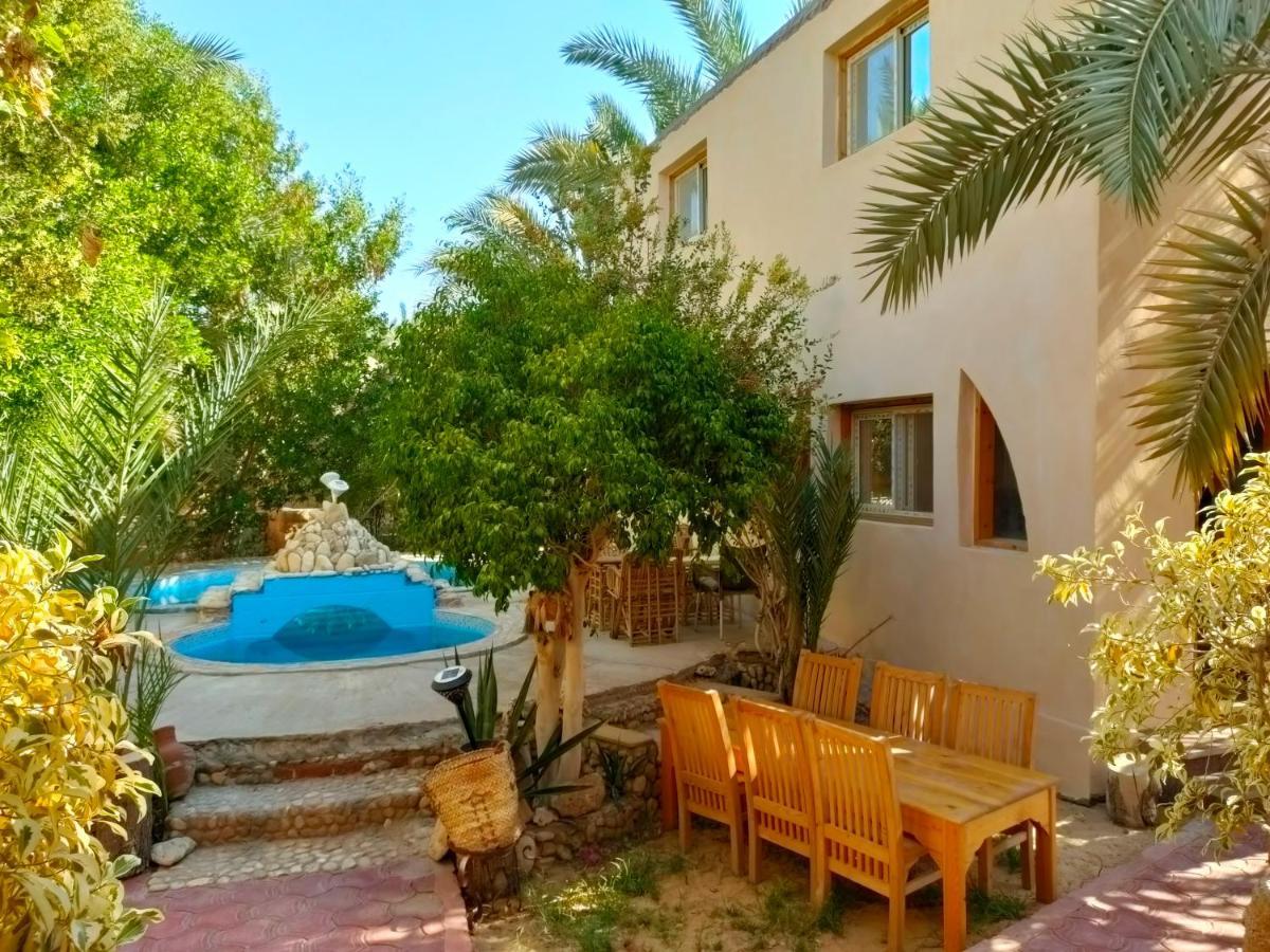 Dream Lodge Siwa シワ・オアシス エクステリア 写真