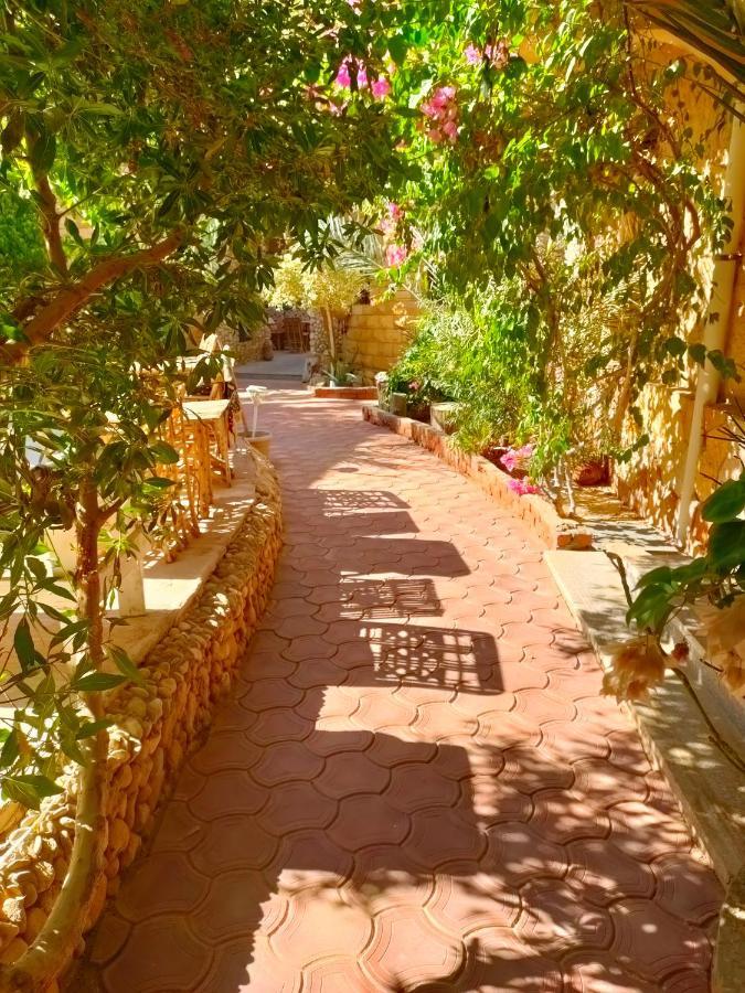Dream Lodge Siwa シワ・オアシス エクステリア 写真
