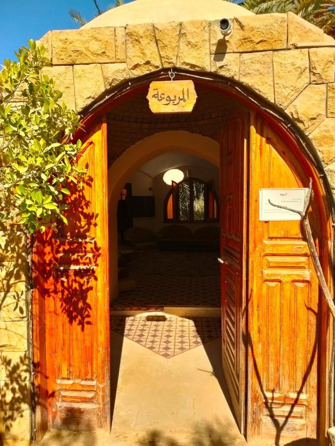 Dream Lodge Siwa シワ・オアシス エクステリア 写真
