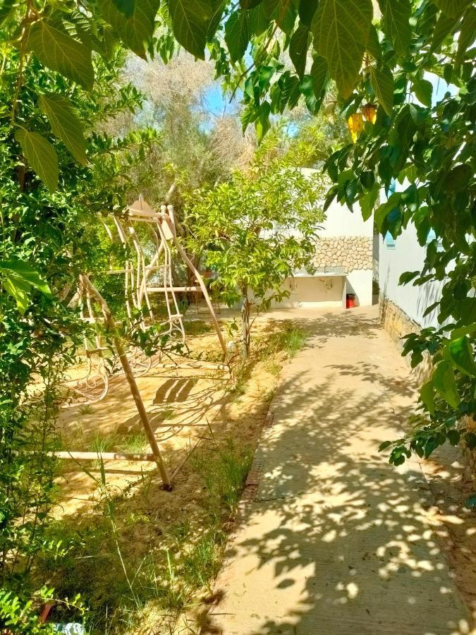Dream Lodge Siwa シワ・オアシス エクステリア 写真