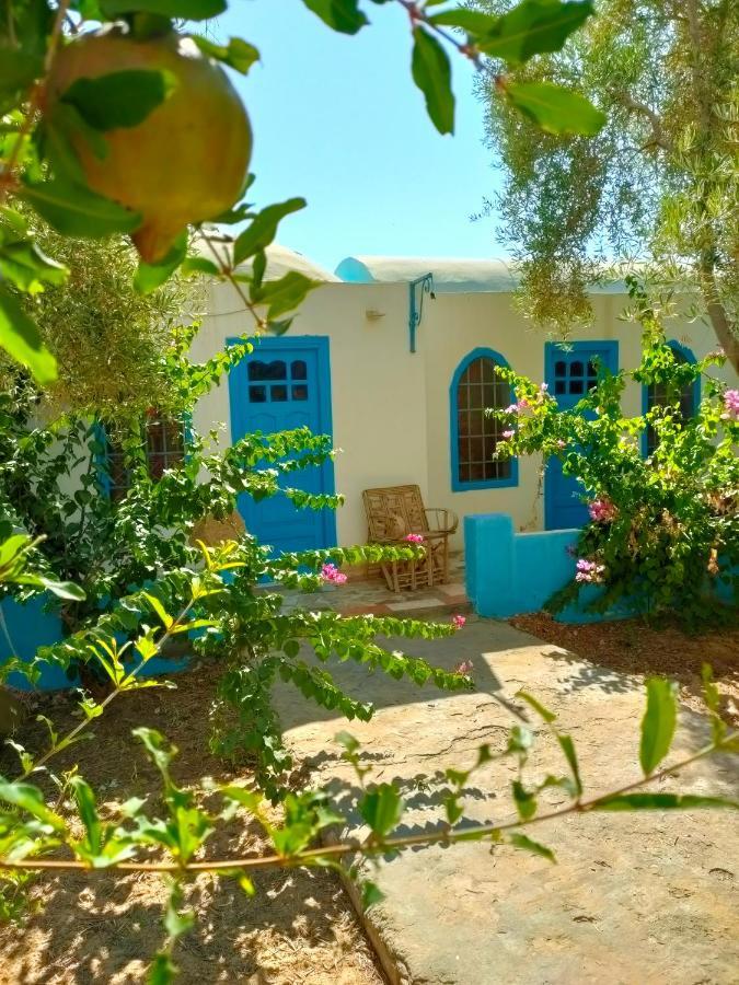 Dream Lodge Siwa シワ・オアシス エクステリア 写真