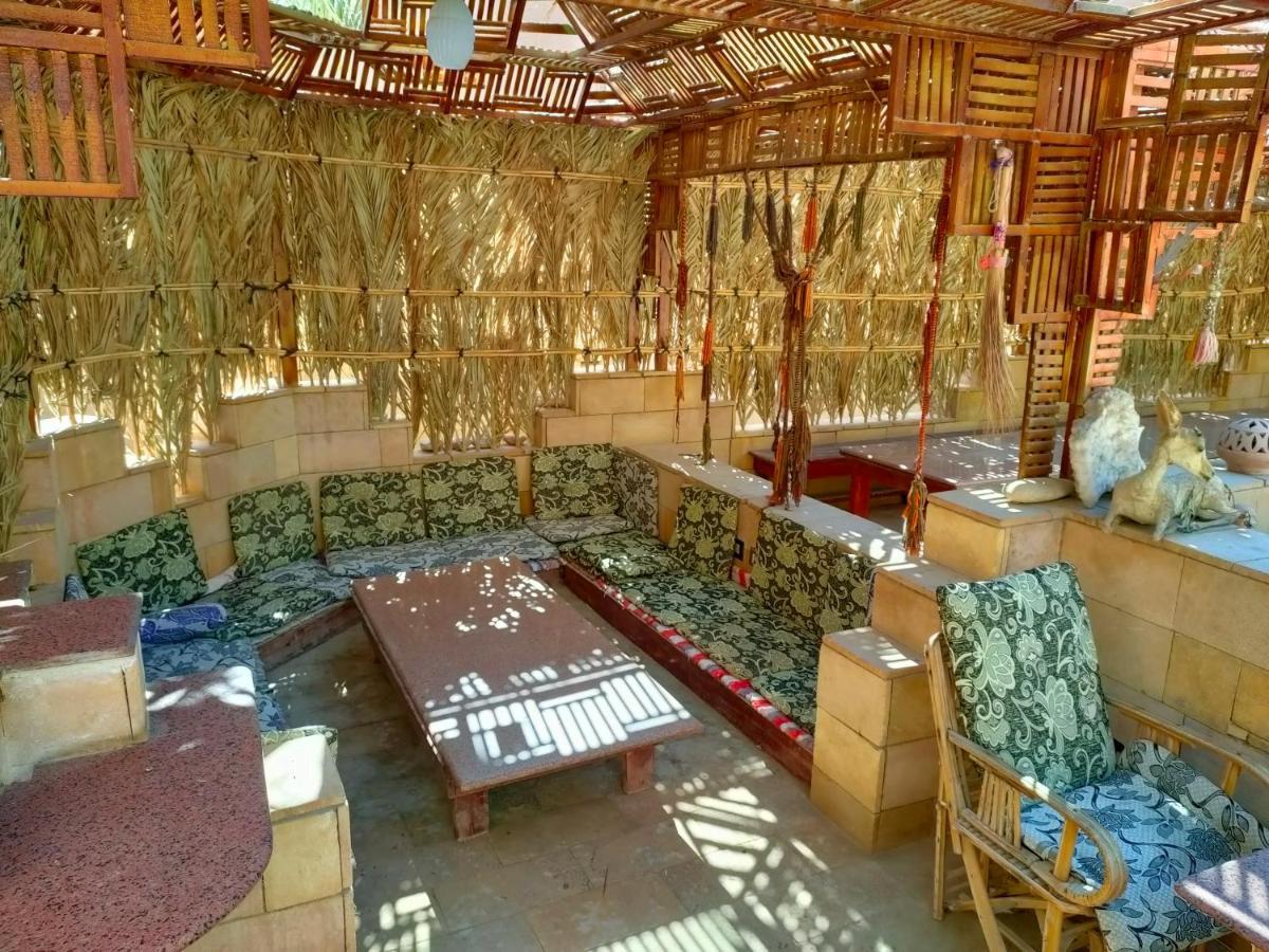 Dream Lodge Siwa シワ・オアシス エクステリア 写真